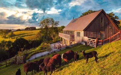 Gitcombe Retreat – Gitcombe Estate